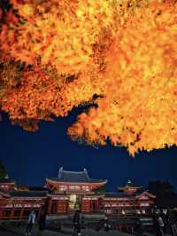 【紅葉特集】予約必須‼️10円玉に描かれた歴史的建造物と紅葉のコラボ✨✨※攻略情報付き