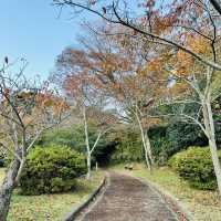 Top 3 views of Japan at Matsushima! 