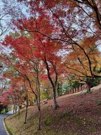 「負けきらい」の神社で