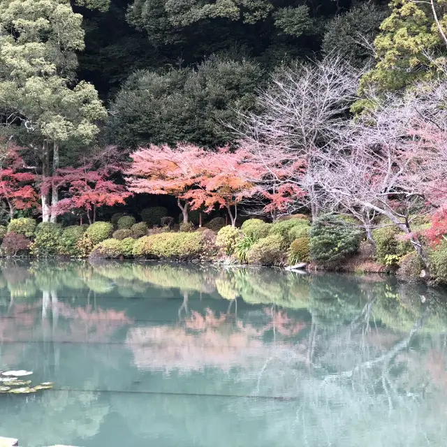 Hot Springs in Beppu City