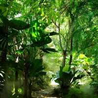泰國北碧_Rainforest Café_網美拍照打卡咖啡店