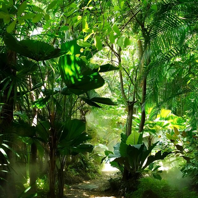 泰國北碧_Rainforest Café_網美拍照打卡咖啡店