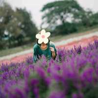 🌹🎄🌱 .. ปล่อยใจไปกับ #สวนดอกไม้เชียงใหม่