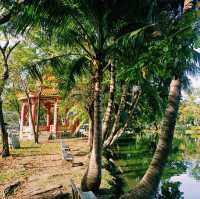 泰國曼谷著名城市綠洲公園景點:倫披尼公園，看野生大蜥蜴，城市湖泊美景，適合拍照打卡親子遊。