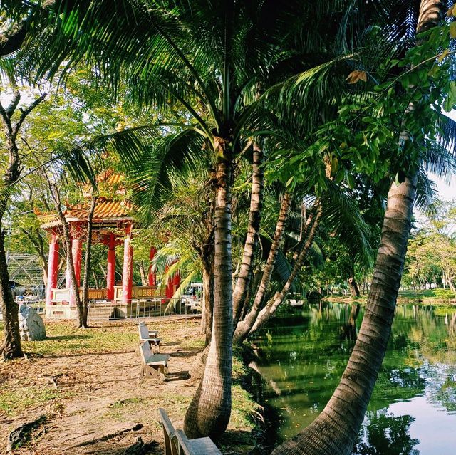 泰國曼谷著名城市綠洲公園景點:倫披尼公園，看野生大蜥蜴，城市湖泊美景，適合拍照打卡親子遊。