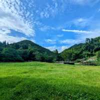 台北最佳親水步道：內湖大溝溪生態治水園區