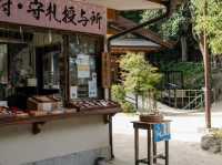 志賀島神社行程全攻略🥰超推薦❤️