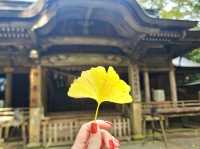 神話之地-天岩戶神社和天安河原