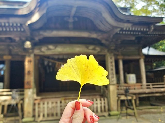 神話之地-天岩戶神社和天安河原