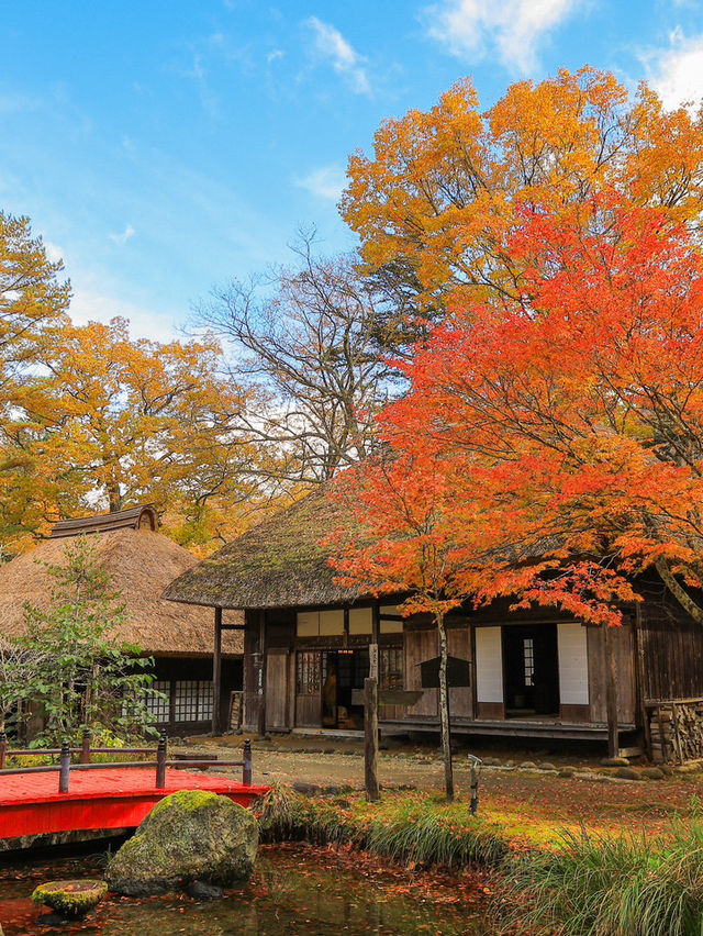📍 【栃木】　平家の里の紅葉