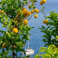 Chilling at Amalfi