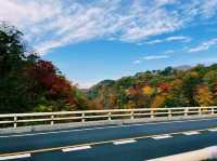 宮城🇯🇵鳴子峽