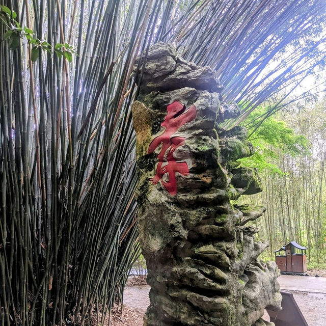 以風水佈局的水口林園第一村：唐模景區