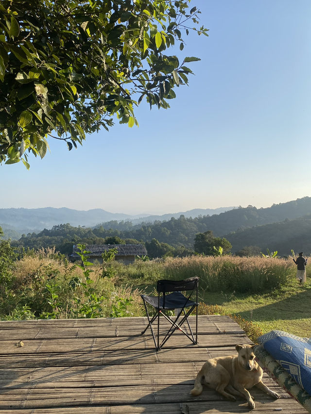 ฤดูหนาวที่ดูเลเล | จ.เชียงใหม่ 🏡⛰️🌿🔥