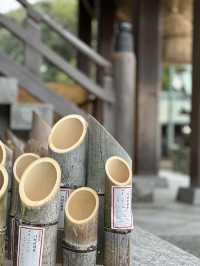 CMで話題となった光の道  3つの日本一がある神社