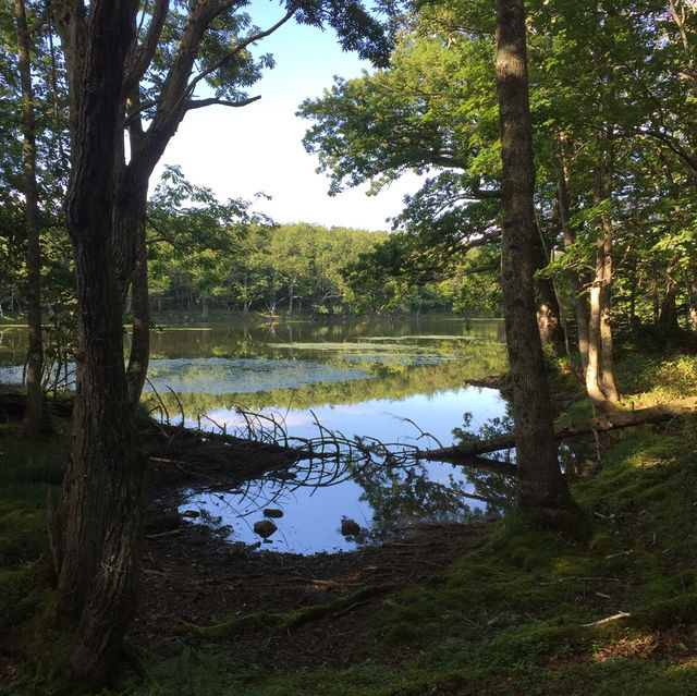 【知床五湖】 世界遺産🌏 【知床五湖】 世界遺産🌏