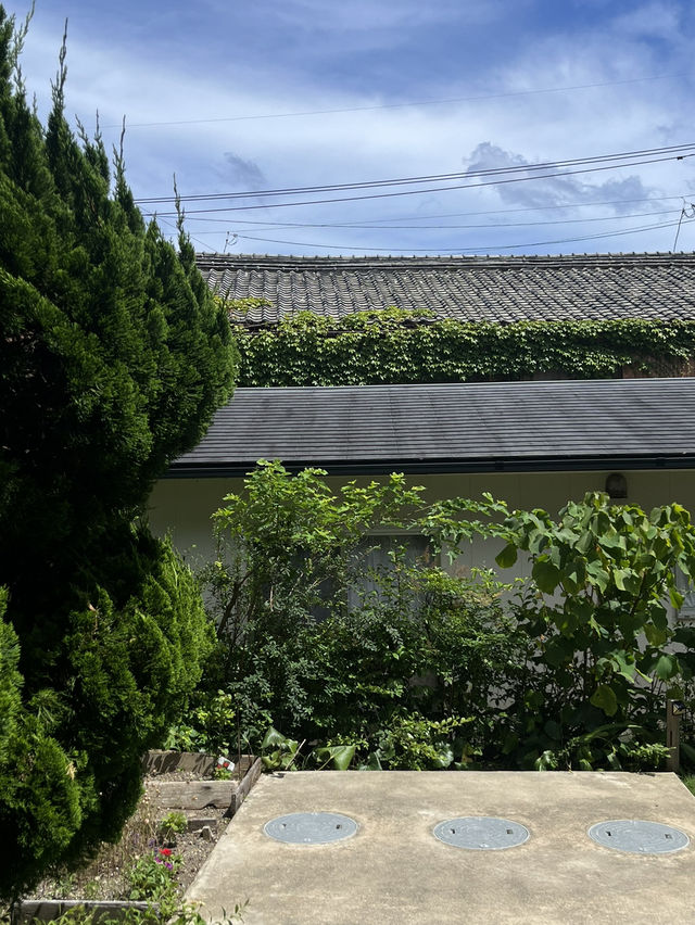 대마도 | 바다마을에서 살아보듯 여행하고 싶다면 '화이트 하우스' 🏡