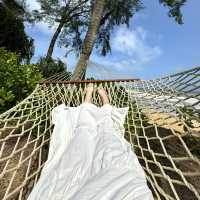 Quiet and Hidden Paradise: Tanjong Jara Resort🏖️