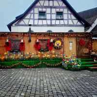Colors of the Past: Discovering Stein am Rhein's Charm