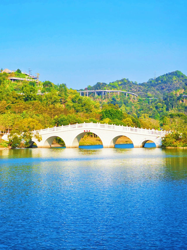 珠海景點推薦：香山湖公園的自然美景與休閒體驗🌳