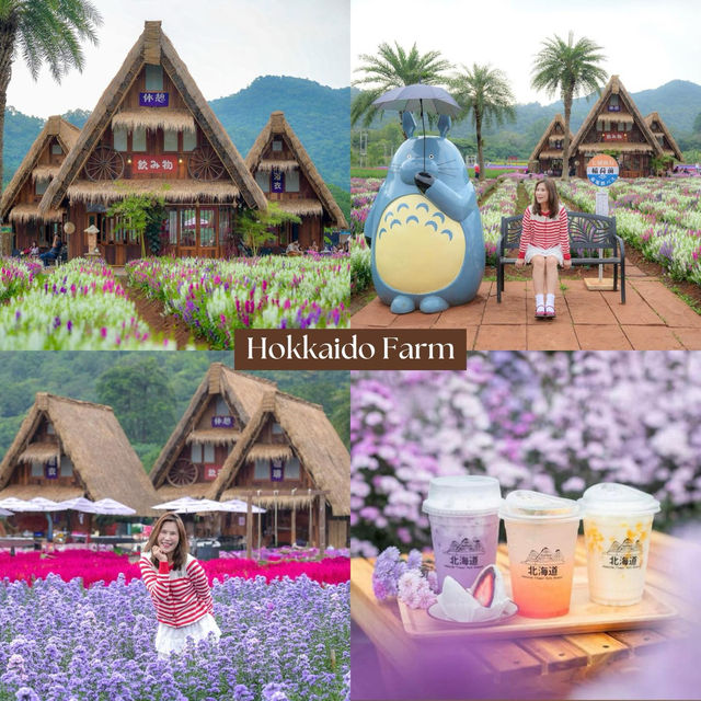 19 Cafe Hopping เขาใหญ่ ปากช่อง 