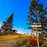 ลานกางเต้นท์ วิวดี แบบ360องศา