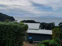 와이헤케 와이너리 투어 - Cable Bay vineyards🇳🇿