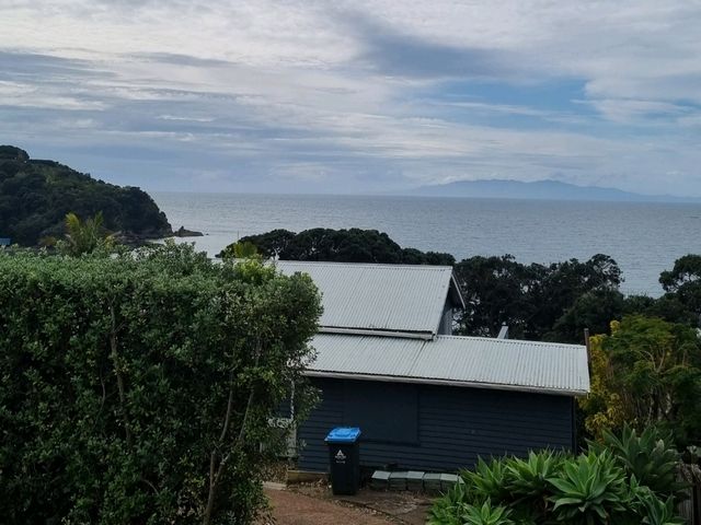 와이헤케 와이너리 투어 - Cable Bay vineyards🇳🇿