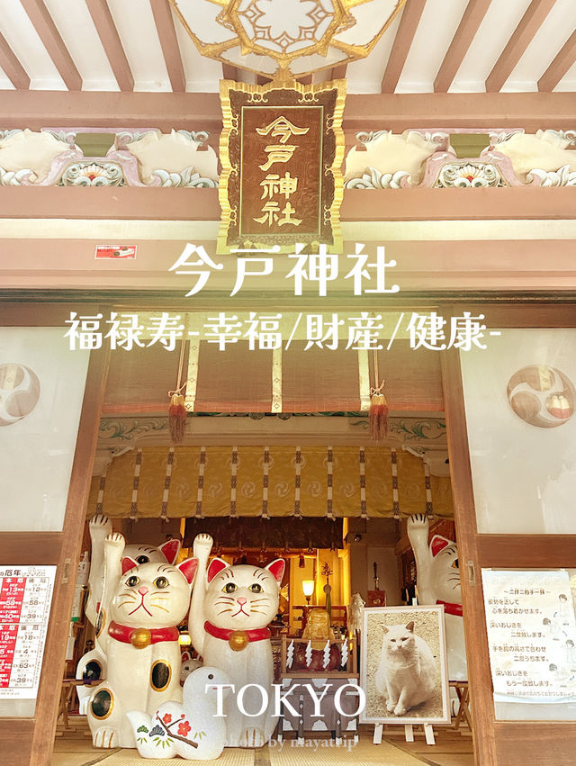 浅草七福神巡りで開運散歩【東京】