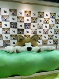 【秋田大館観光】秋田犬の里