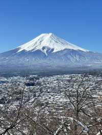 日本🇯🇵新宿到下吉田   找尋富士山美景🗻一日遊 