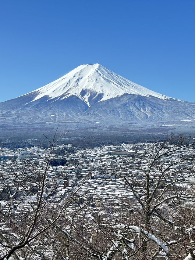 日本🇯🇵新宿到下吉田   找尋富士山美景🗻一日遊 