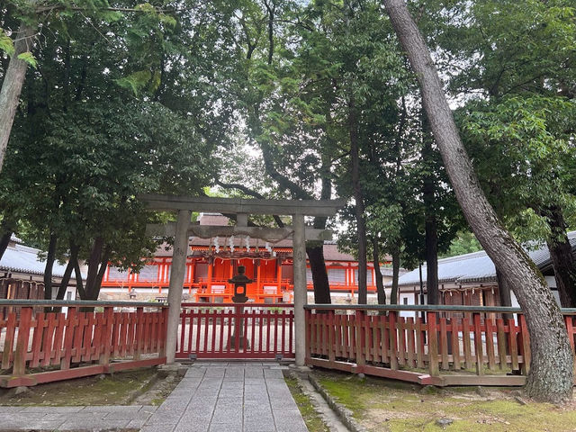 絶対的観光名所‼️【薬師寺】