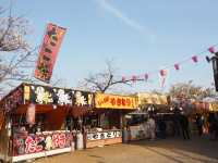 長崎市賞櫻勝地🌸立山公園+ 櫻花祭典
