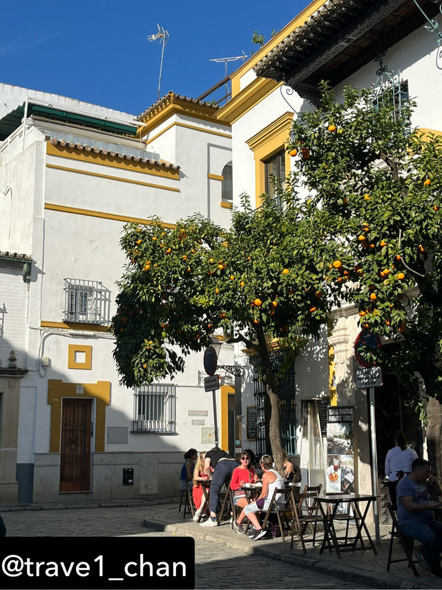 【スペイン🇪🇸セビーリャ、セビリア】オレンジと青空と歴史の美しさ