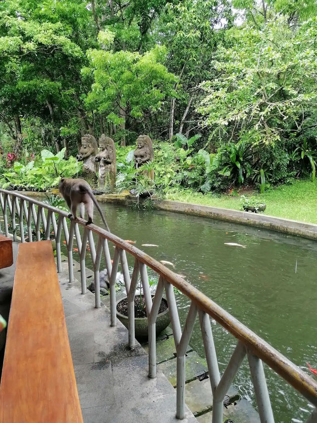Ubud Monkey Forest