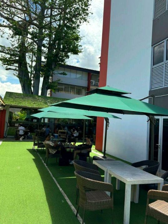 The Brewing Ground