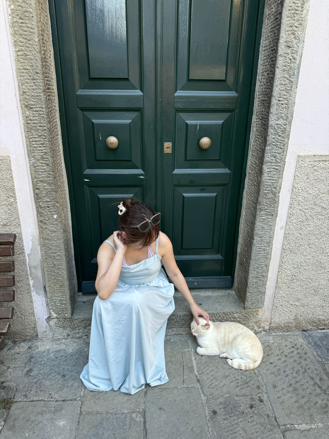 我在五漁村遇上的貓咪🐱～