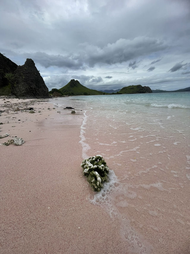 A Visit to Pink Beach on Padar Island: A Must-See Wonder! 🏖️🌸