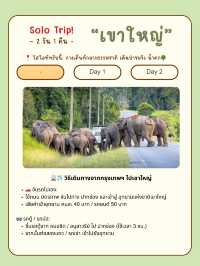  ⛺🌿 เที่ยวเขาใหญ่ ฉบับกางเต็นท์ชิลๆ คนเดียว 2 วัน