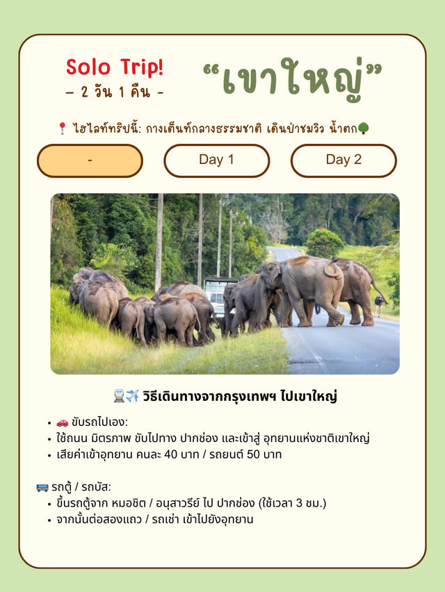  ⛺🌿 เที่ยวเขาใหญ่ ฉบับกางเต็นท์ชิลๆ คนเดียว 2 วัน