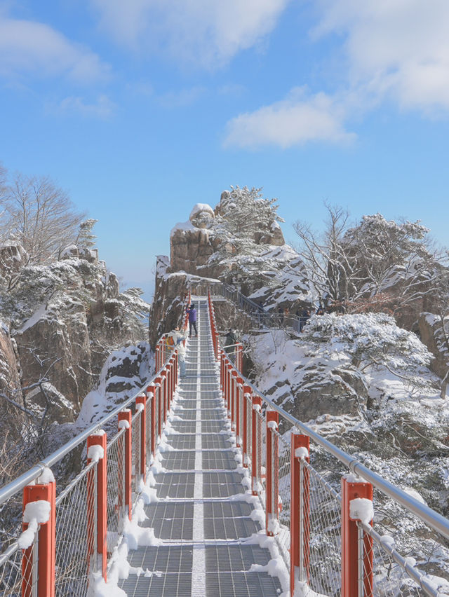 (실시간) 정말 눈물 날 만큼 아름다웠던 올 겨울 꼭 다녀와야 할 설산❄️🩵