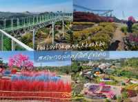 แจกแผนเที่ยวภูทับเบิก - เขาค้อ ⛰️ 