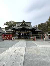 【福岡観光】御神木の大きさに驚き🌳地元で愛される神社⛩