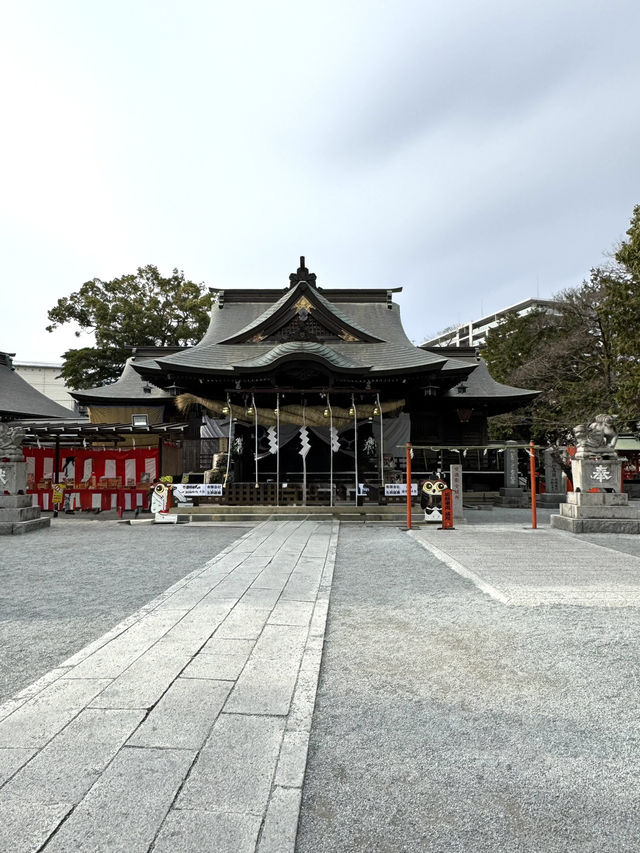 【福岡観光】御神木の大きさに驚き🌳地元で愛される神社⛩