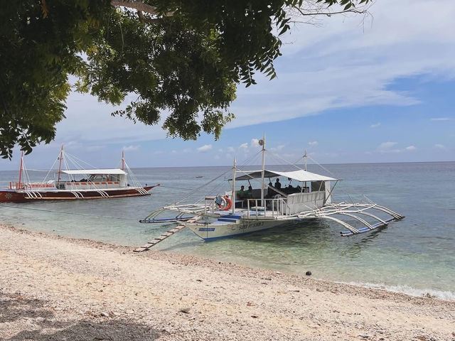 Cebu’s Best in 3 Days