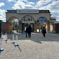 【別府】【城島高原パーク】一年中楽しめる盛りだくさん遊園地✨