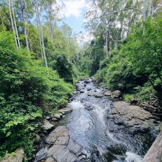 A Hidden Paradise at Larapinta Falls 🇦🇺