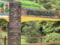 Semenggoh Nature Reserve - A Thrilling Wildlife Adventure