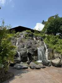 Bird Paradise Singapore: A Must-Visit for Nature & Wildlife Lovers